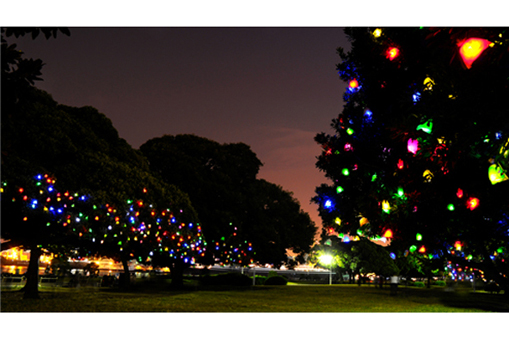「HOPE　横浜の子どもたちが贈る　希望　笑顔　元気」《ひかりの実》ブース