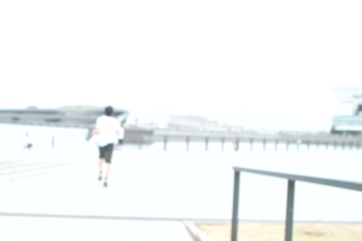 『象の思い出』　作品発表