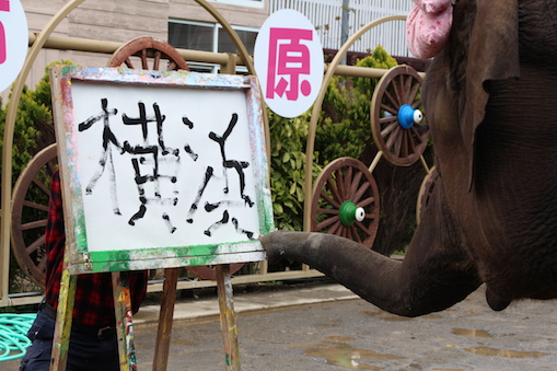 ゆめ花 絵画展 | 象の鼻テラス ZOU-NO-HANA TERRACE