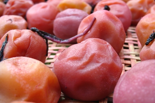 みんなのうめぼし"プロジェクトwith 食とものづくりスタジオ FERMENT"""