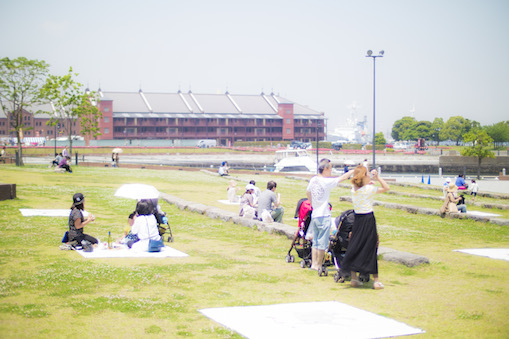 ゾウノハナピクニックフィールド