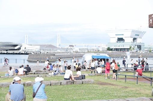 ゾウノハナピクニックフィールド -フィンランド-