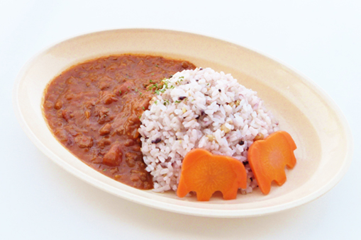 ZOU-NO-HANA BENTO PROJECT 4月