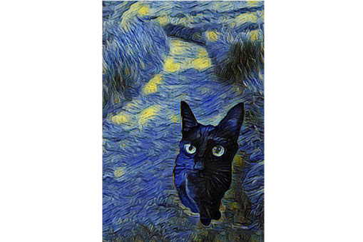 第3回 チャリティ朗読会&写真展 Life〜ねこはしる〜