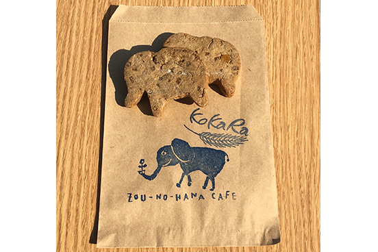 ZOU-NO-HANA BENTO PROJECT 11月