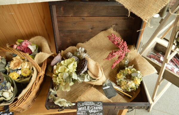 ZOU-SUN-NIGHT-MARCHE