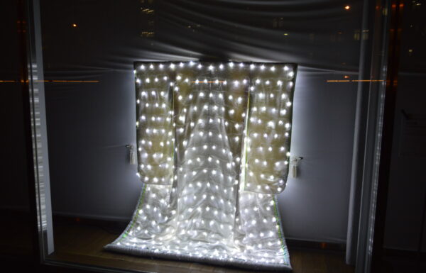 ヨコハマ・イルミネーション・マンス関連イベント　光の衣装体験