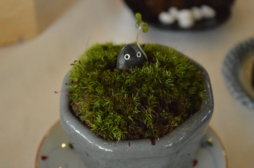 ZOU-SUN-NIGHT-MARCHE