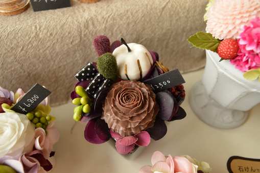 ZOU-SUN-NIGHT-MARCHE