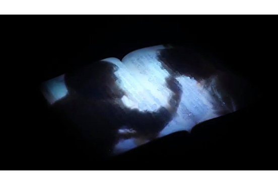 高雄⇄横浜山本アンディ彩果 帰国展「永恆的故事 ─エターナルストーリー」