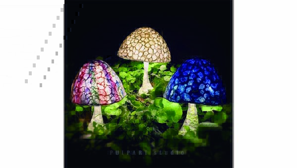 ZOU-SUN-NIGHT-MARCHE