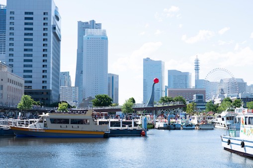 ARCHIVE EXHIBITION  鈴木康広 展 『未知への鼻』