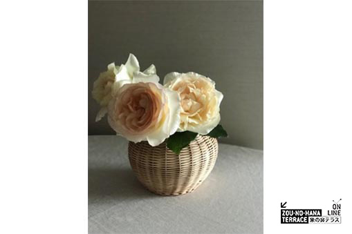 ONLINE ZOU-SUN-MARCHE