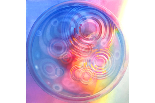 ZOU-NO-HANA GALLERY SERIES vol.2 「曽谷朝絵展」