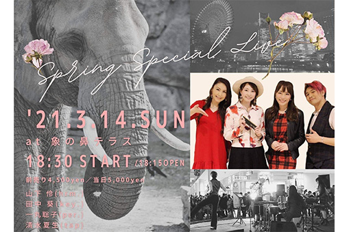 Spring Special Live @象の鼻テラス