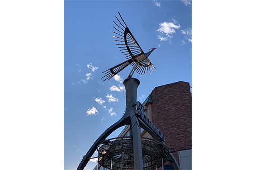 象の鼻はじめてものがたりvol.24募集を締め切りました