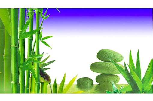 アレクサンドル & バンジャマン・カトウ展「花瓶に一輪の花」