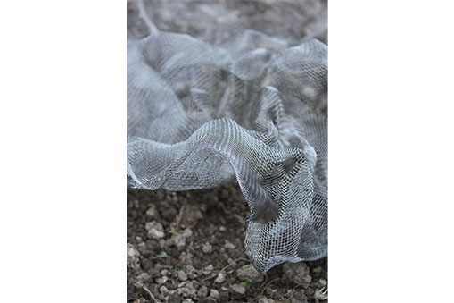 加藤亮/中村洋子展 「brackish water」