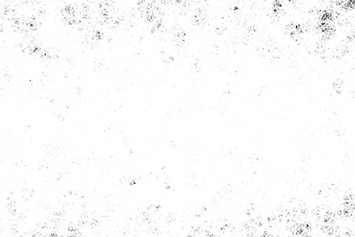 中瀬俊介展「季節の種 The Season's Seed」ライブパフォーマンス