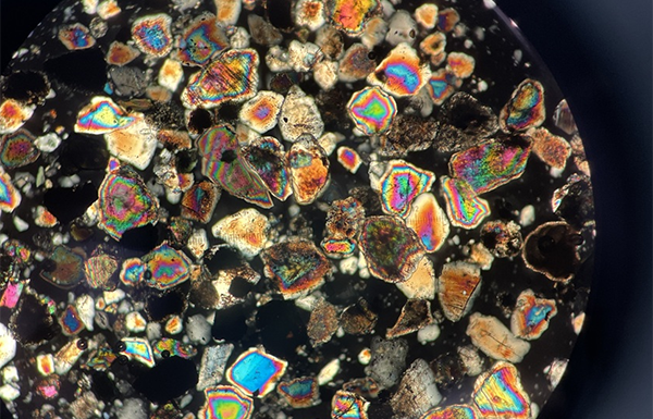 「海と科学の幽玄」展