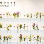 JA 愛知みなみ MINAMI Flower Days