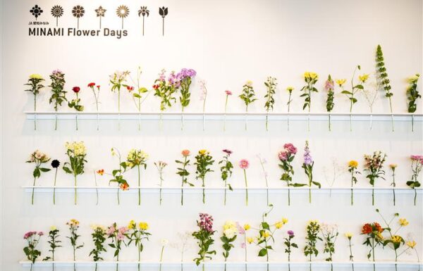 JA 愛知みなみ MINAMI Flower Days